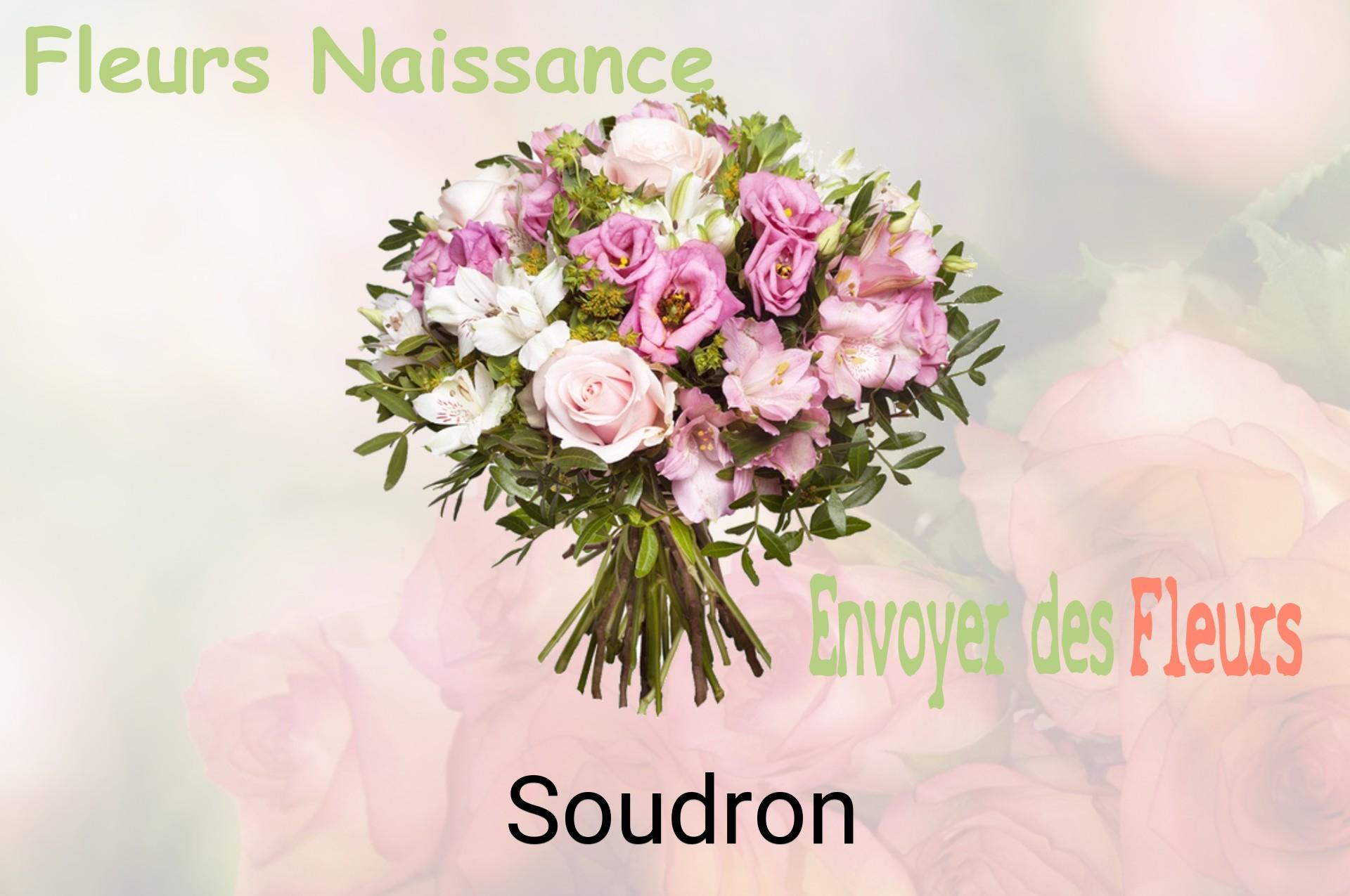 Bouquet de fleurs de naissance livré à Soudron